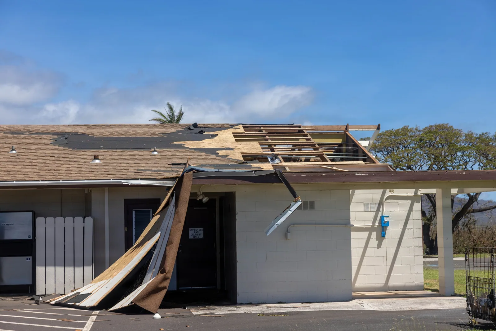 Wind Damage Roof Repair in Downey, CA