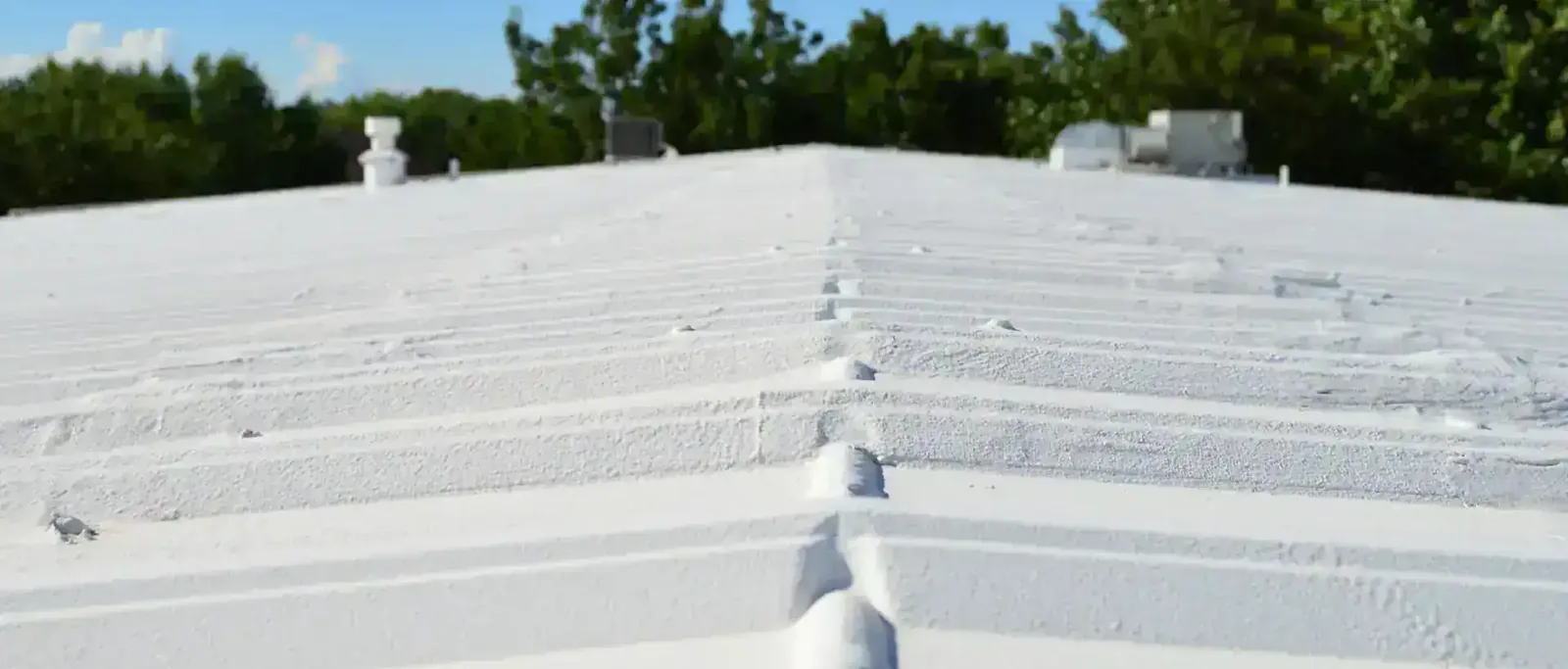 Silicone Roof Coatings in Downey, CA